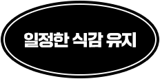 일정한 식감 유지